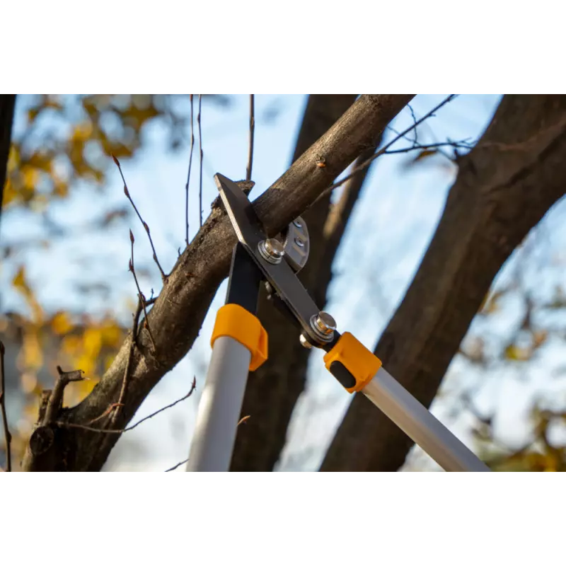 AnvilTreeLopper_2H1220001ST1_amb01_web